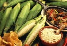 5 datos curiosos de las Mixtecas
