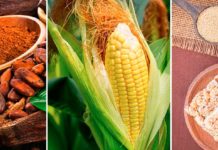 Comidas Típicas de los Toltecas